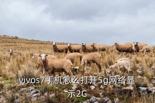 vivos7手机怎么打开5g网络显示2g