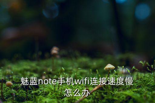 魅蓝note手机wifi连接速度慢怎么办