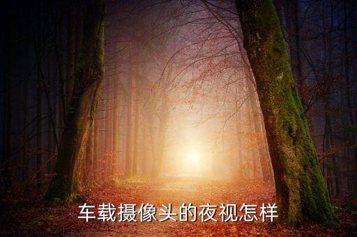 夜视系统,锐际能加装夜视系统吗?可以加装吗?