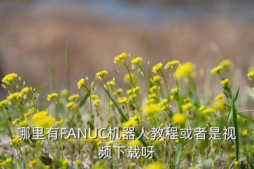 哪里有fanuc机器人教程或者是视频下载呀