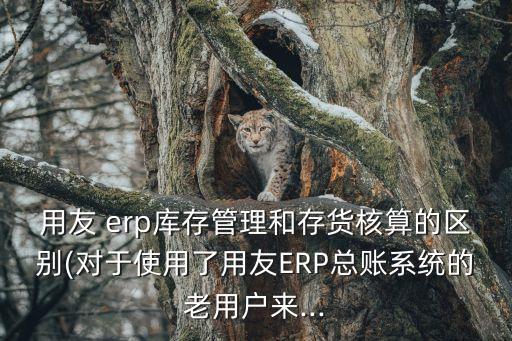 erp库存管理,erp管理流程有哪些?一文看懂