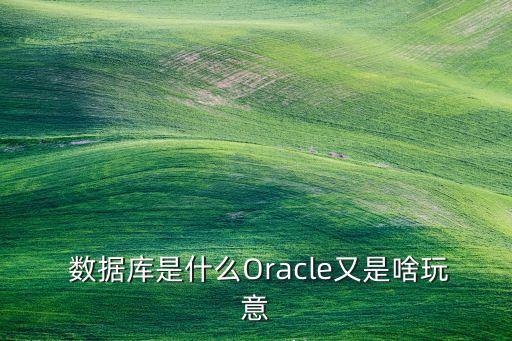  数据库是什么oracle又是啥玩意