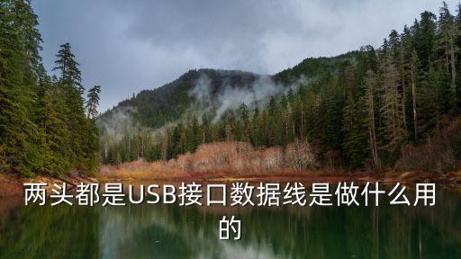 两头都是usb接口数据线是做什么用的