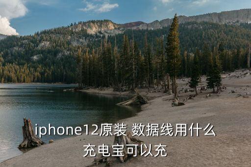 iphone12原装 数据线用什么充电宝可以充