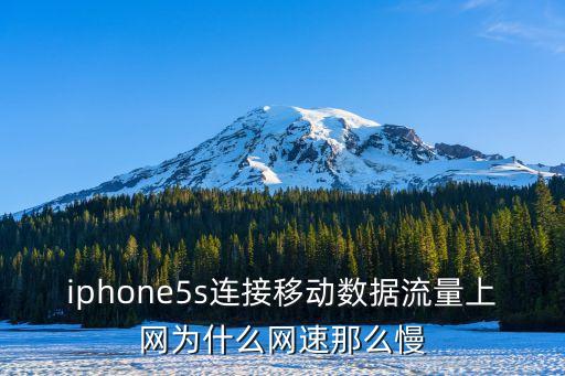 如果苹果5s使用数据流量吗,iphone怎么用4g流量?