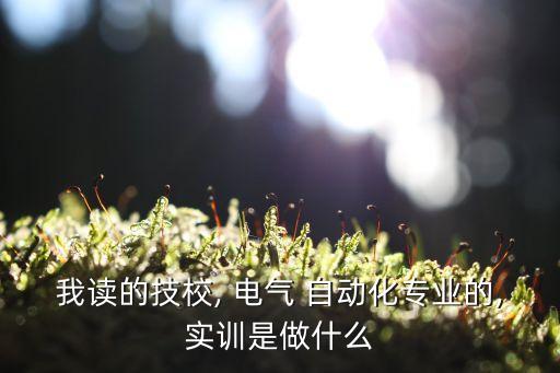 我读的技校, 电气 自动化专业的,实训是做什么