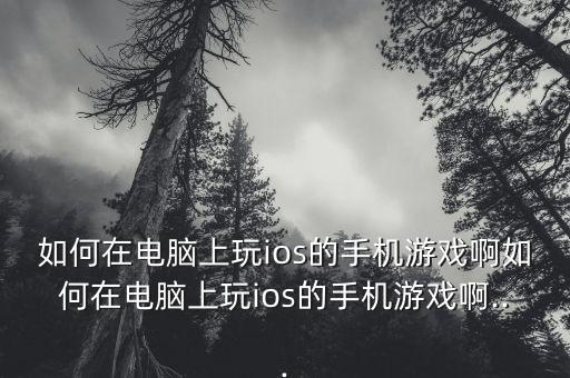 如何在电脑上玩ios的手机游戏啊如何在电脑上玩ios的手机游戏啊...