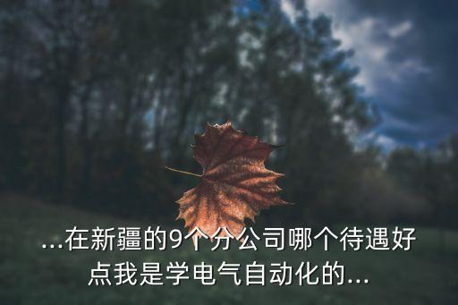 ...在新疆的9个分公司哪个待遇好点我是学电气自动化的...