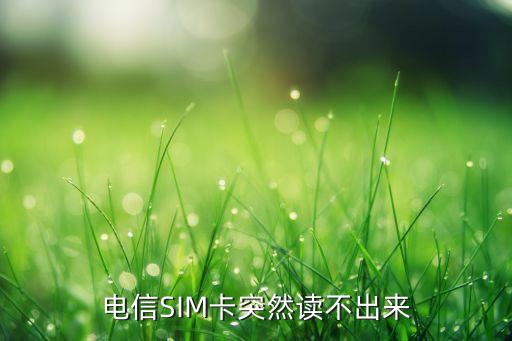 电信sim卡突然读不出来