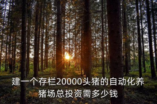 建一个存栏20000头猪的自动化养猪场总投资需多少钱