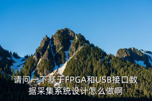 请问一下基于fpga和usb接口数据采集系统设计怎么做啊