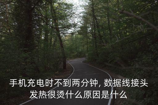 数据线烫胳膊,充电数据线非常烫