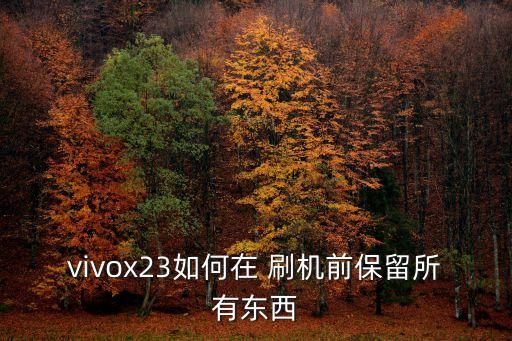 vivox23如何在 刷机前保留所有东西