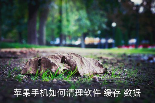 苹果手机如何清理软件 缓存 数据