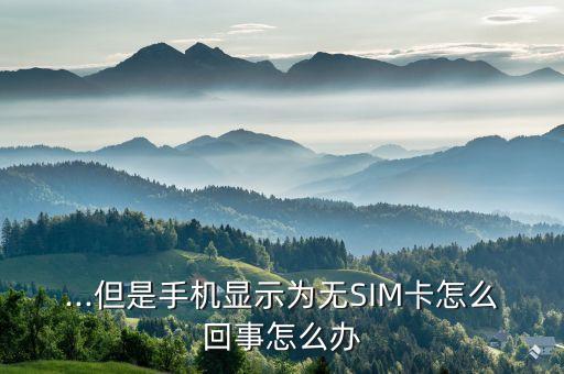 ...但是手机显示为无sim卡怎么回事怎么办