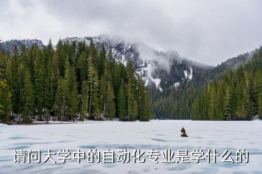 请问大学中的自动化专业是学什么的