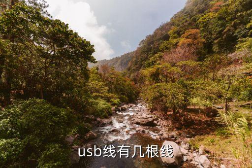 usb线有几根线