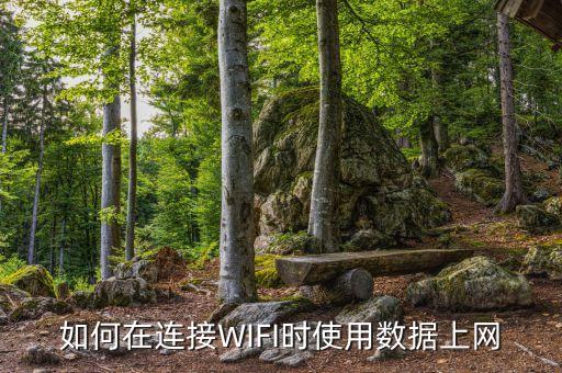 如何在连接wifi时使用数据上网