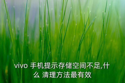 vivo 手机提示存储空间不足,什么 清理方法最有效