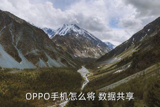 oppo怎么数据连接