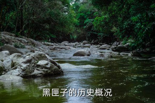 黑匣子的历史概况