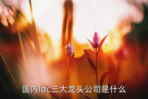 国内idc三大龙头公司是什么