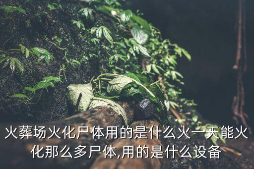 火葬场火化尸体用的是什么火一天能火化那么多尸体,用的是什么设备