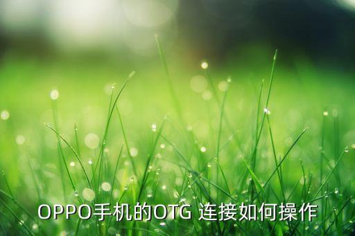 oppo手机的otg 连接如何操作