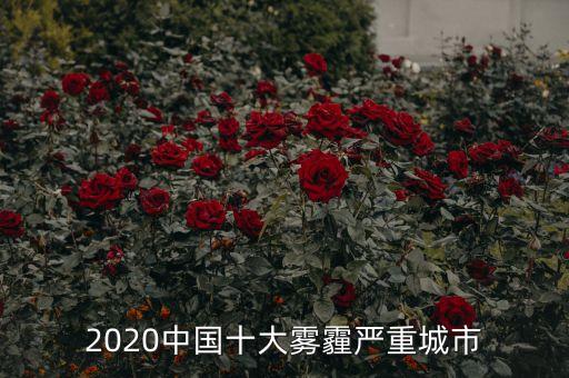 2020中国十大雾霾严重城市