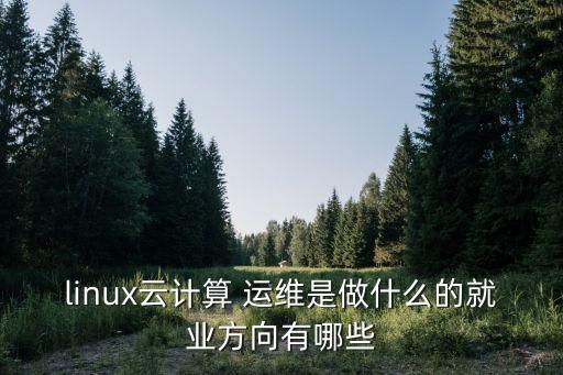 linux云计算 运维是做什么的就业方向有哪些