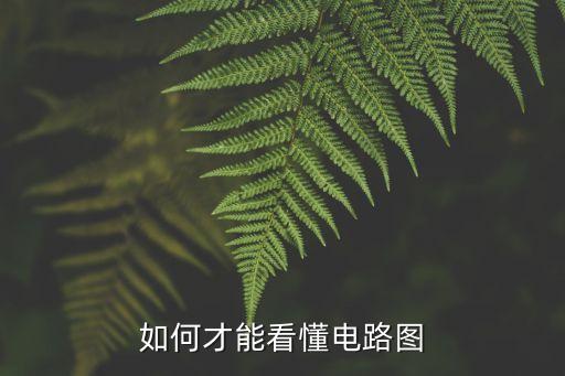 如何才能看懂电路图