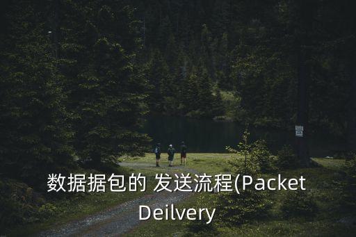 数据据包的 发送流程(packetdeilvery