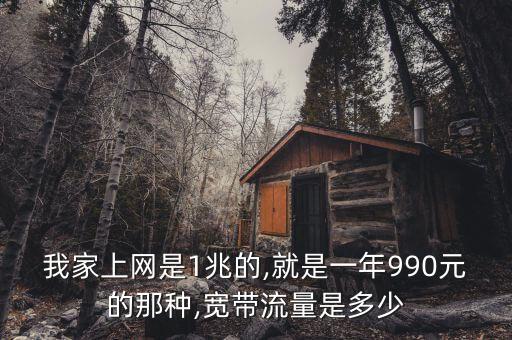 我家上网是1兆的,就是一年990元的那种,宽带流量是多少