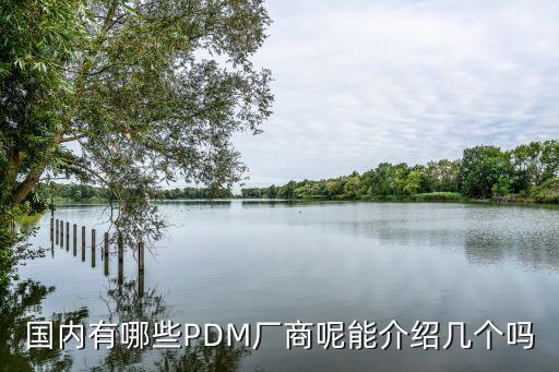 国内有哪些pdm厂商呢能介绍几个吗