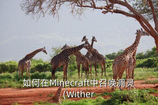 如何在minecraft中召唤凋灵(wither