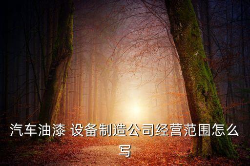 汽车油漆 设备制造公司经营范围怎么写