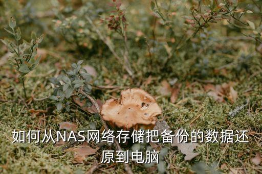 如何从nas网络存储把备份的数据还原到电脑