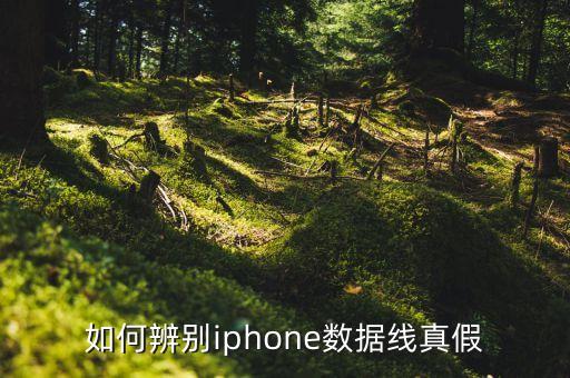 如何辨别iphone数据线真假