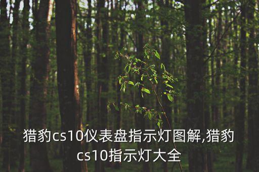 猎豹cs10仪表盘指示灯图解,猎豹cs10指示灯大全