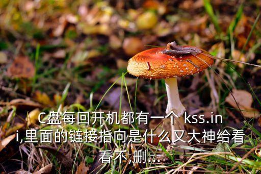 c盘每回开机都有一个 kss.ini,里面的链接指向是什么又大神给看看不,删...