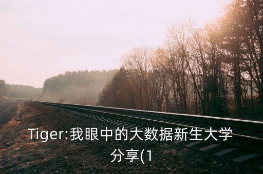 tiger:我眼中的大数据新生大学分享(1