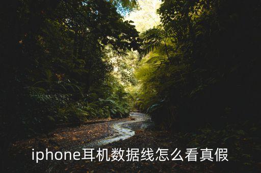 iphone耳机数据线怎么看真假