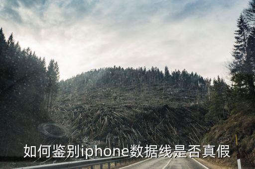 如何鉴别iphone数据线是否真假