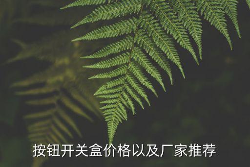 按钮开关盒价格以及厂家推荐