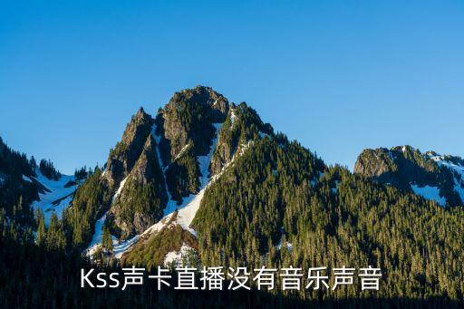 kss,kss.ini文件可能是病毒或恶意软件