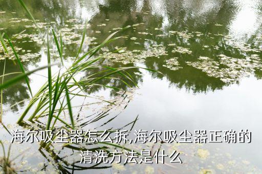 海尔吸尘器怎么拆,海尔吸尘器正确的清洗方法是什么