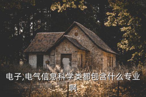 电子,电气信息科学类都包含什么专业啊