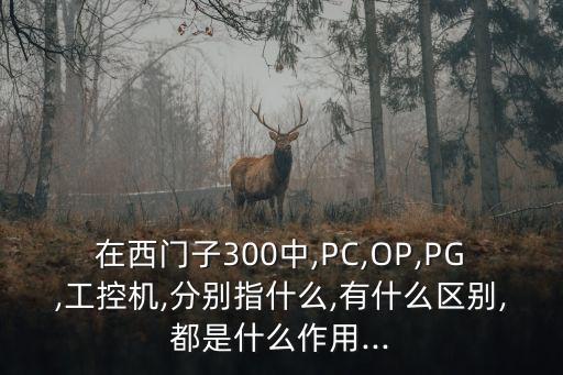 在西门子300中,pc,op,pg,工控机,分别指什么,有什么区别,都是什么作用...