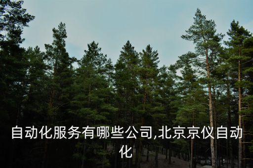 北京自动化服务有哪些公司,北京京仪自动化