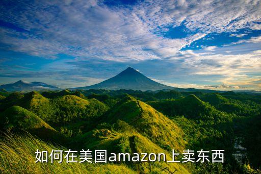 如何在美国amazon上卖东西